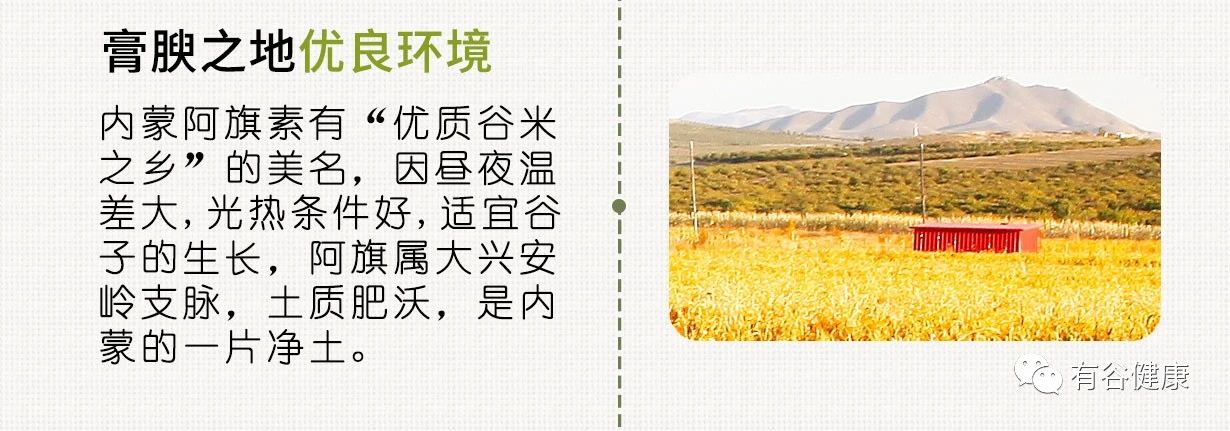 原生態粗糧小米.jpg